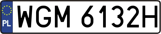 WGM6132H