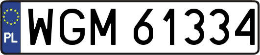WGM61334
