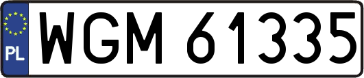 WGM61335