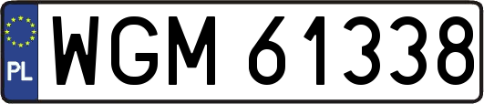 WGM61338
