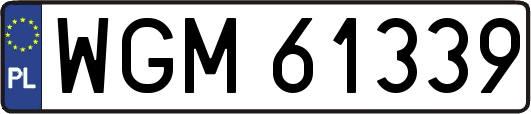 WGM61339