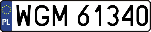 WGM61340