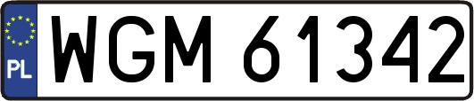 WGM61342
