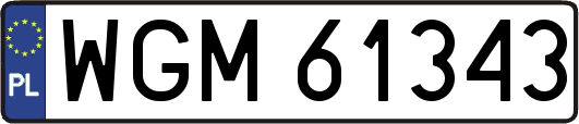 WGM61343