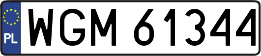 WGM61344
