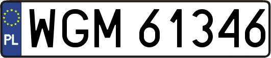 WGM61346