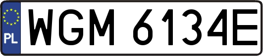 WGM6134E