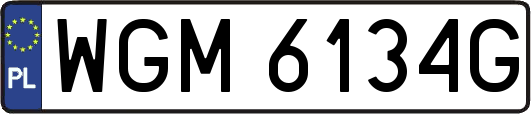 WGM6134G