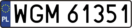 WGM61351