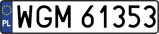 WGM61353