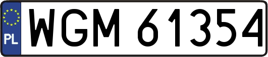 WGM61354