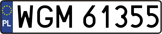 WGM61355