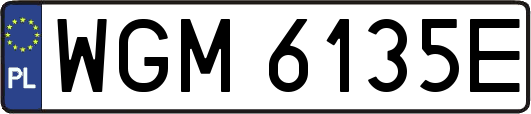 WGM6135E