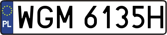 WGM6135H