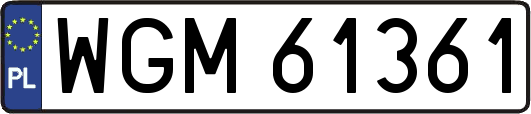 WGM61361