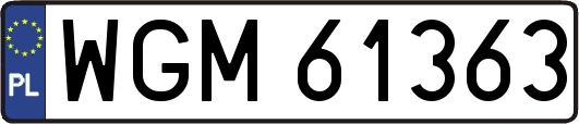 WGM61363