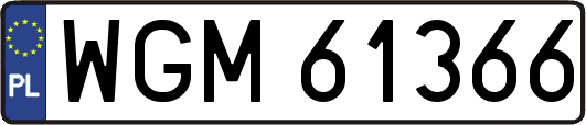 WGM61366