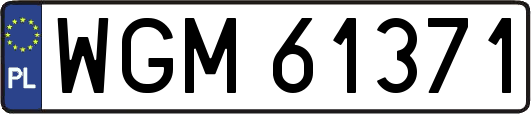 WGM61371