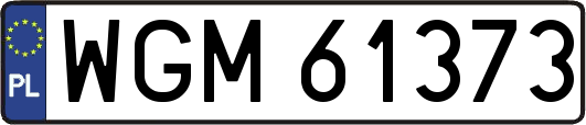 WGM61373