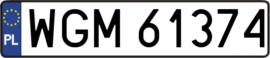 WGM61374