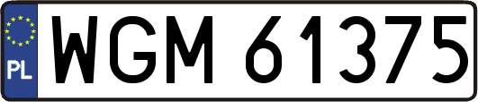WGM61375