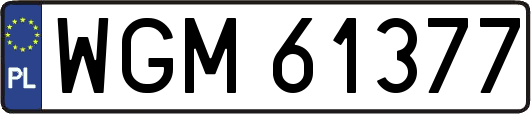 WGM61377