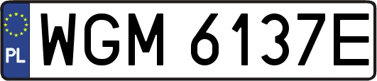 WGM6137E
