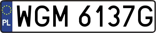 WGM6137G