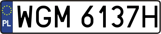 WGM6137H