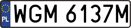 WGM6137M
