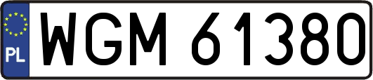 WGM61380