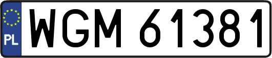 WGM61381