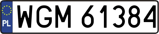 WGM61384