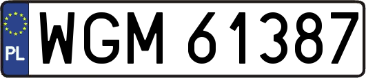 WGM61387