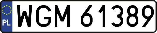 WGM61389