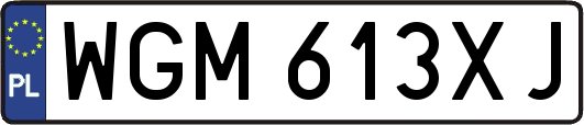 WGM613XJ