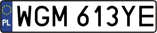WGM613YE