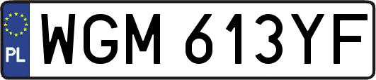 WGM613YF