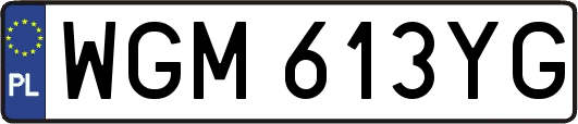 WGM613YG