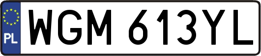 WGM613YL