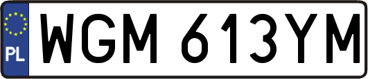 WGM613YM