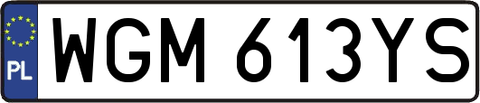 WGM613YS