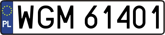 WGM61401