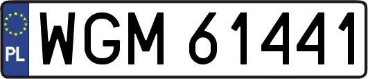 WGM61441