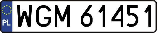 WGM61451
