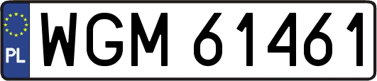 WGM61461