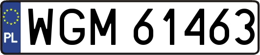 WGM61463