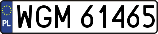 WGM61465