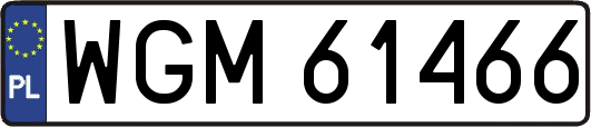 WGM61466