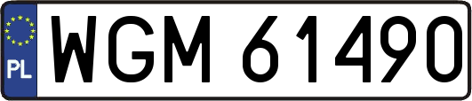 WGM61490